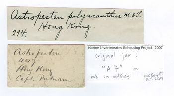 Media type: image; Invertebrate Zoology AST-294